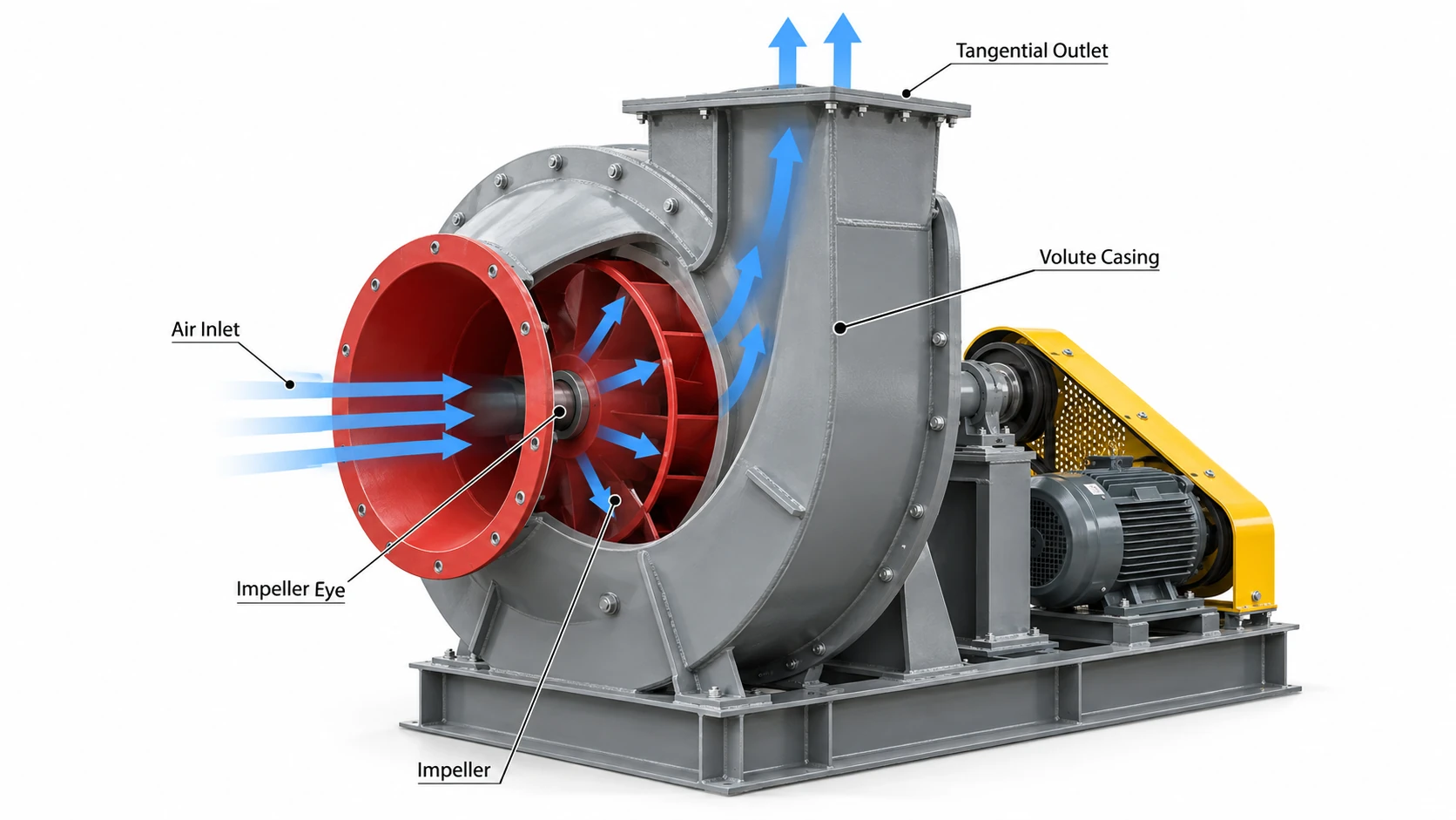 Centrifugal Fan Airflow Direction and Working Principle Centrifugal fan airflow diagram showing axial inlet radial impeller airflow volute collection and tangential discharge